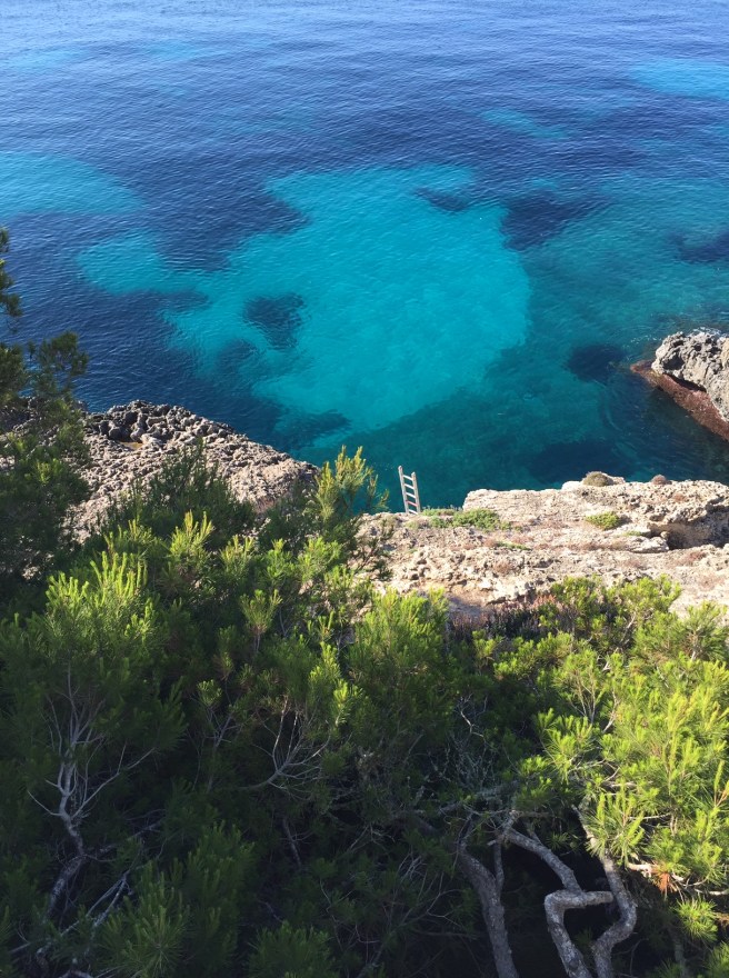 F0111928-1B28-4082-9836-CD63875F194A