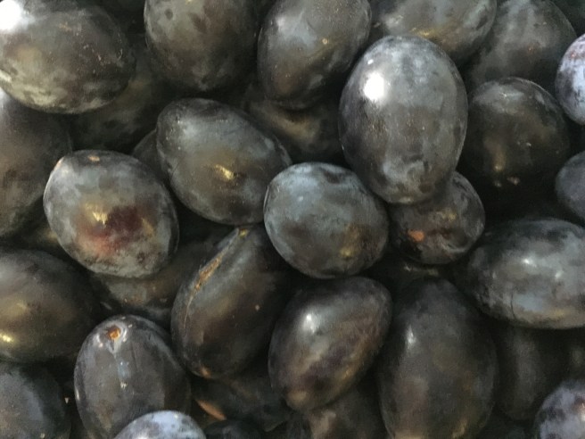 597DF519-B4BE-4045-B4A3-41D2C200F361